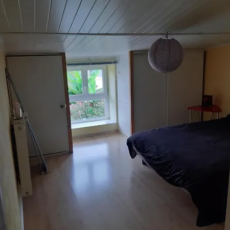 appartement centre ville.